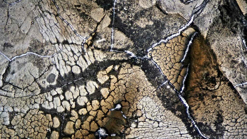 photomicrography, microscopic photography, microscopy art, dried egg white, eggshell membrane, microscopic landscapes, drought photography, dry riverbeds, cracked earth, water scarcity, climate change, El Niño, environmental photography, abstract nature photography, science and art, fine art photography, natural patterns, fracture patterns, evaporation, macro photography, Tian Olivier, Live Slower Look Closer, When Rivers Run Dry