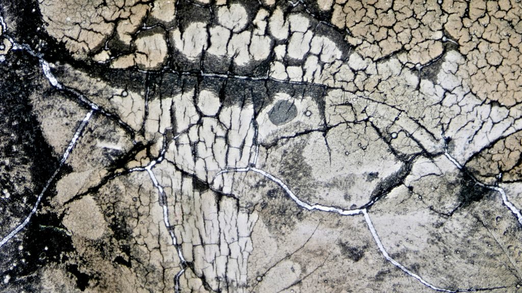 photomicrography, microscopic photography, microscopy art, dried egg white, eggshell membrane, microscopic landscapes, drought photography, dry riverbeds, cracked earth, water scarcity, climate change, El Niño, environmental photography, abstract nature photography, science and art, fine art photography, natural patterns, fracture patterns, evaporation, macro photography, Tian Olivier, Live Slower Look Closer, When Rivers Run Dry