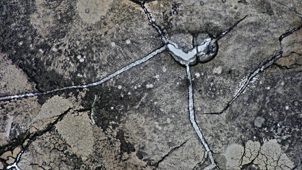 photomicrography, microscopic photography, microscopy art, dried egg white, eggshell membrane, microscopic landscapes, drought photography, dry riverbeds, cracked earth, water scarcity, climate change, El Niño, environmental photography, abstract nature photography, science and art, fine art photography, natural patterns, fracture patterns, evaporation, macro photography, Tian Olivier, Live Slower Look Closer, When Rivers Run Dry