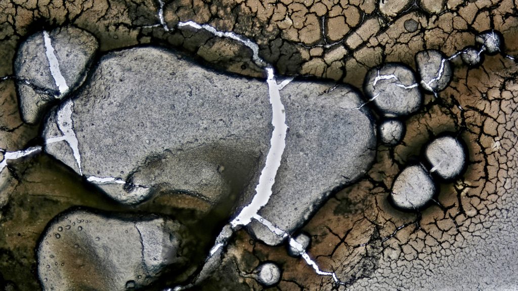 photomicrography, microscopic photography, microscopy art, dried egg white, eggshell membrane, microscopic landscapes, drought photography, dry riverbeds, cracked earth, water scarcity, climate change, El Niño, environmental photography, abstract nature photography, science and art, fine art photography, natural patterns, fracture patterns, evaporation, macro photography, Tian Olivier, Live Slower Look Closer, When Rivers Run Dry